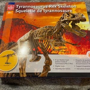 Tyrannosaurus Rex Skeleton